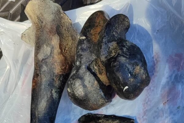 На Буковині після обміління Дністра виявили сліди давніх послень