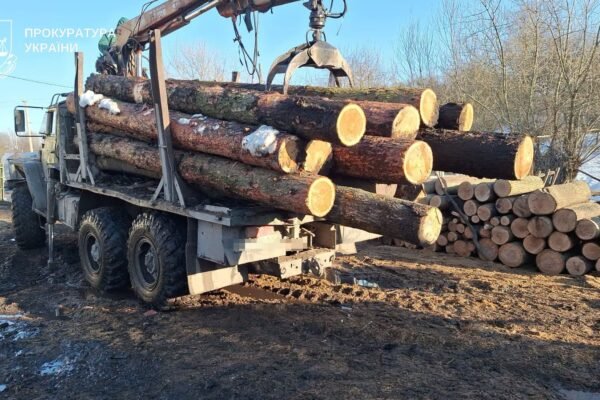 На Тернопільщині судитимуть посадовців заповідника «Медобори» за незаконну вирубку лісу
