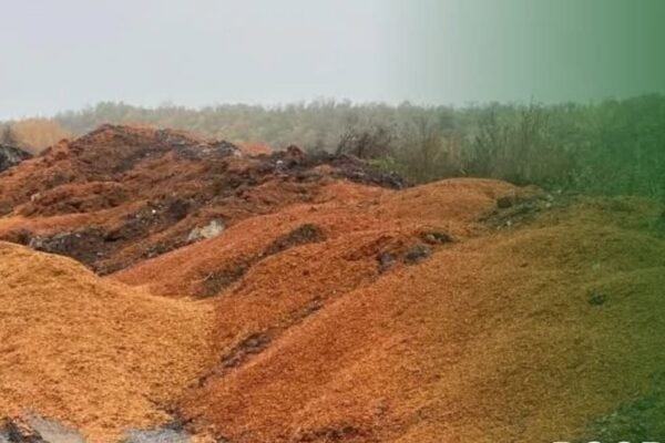 На Тернопільщині невідомі викинули тонни перероблених яблук: Площа засмічення становить 7300 м²