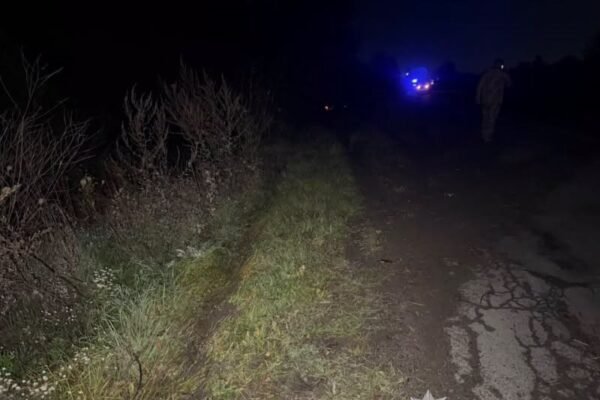 На Львівщині Toyota перекинулася в кювет: Водій загинув на місці, двоє пасажирів отримали травми