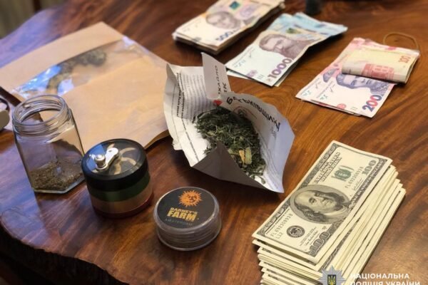Вирощували коноплі на мільйони гривень: На Львівщині викрили організаторів масштабного наркобізнесу