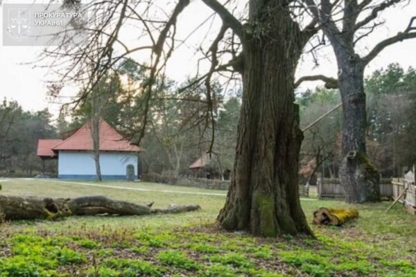 На Львівщині візьмуть під охорону багатовікові дерева з садиби Маркіяна Шашкевича
