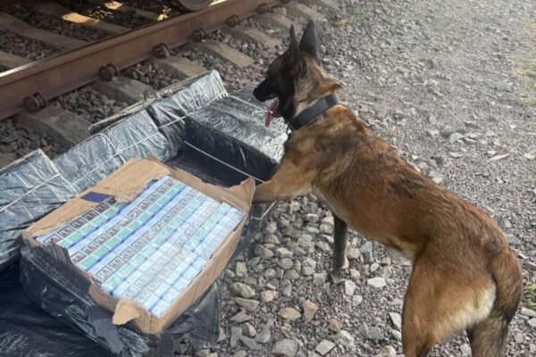 Закарпатські митники під півметровим шаром котунів руди у вантажному вагоні виявили 4 тис. пачок сигарет