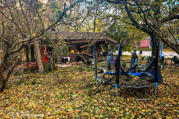 Агресор вдарив по парку на Харківщині: Загинули дві жінки і немовля