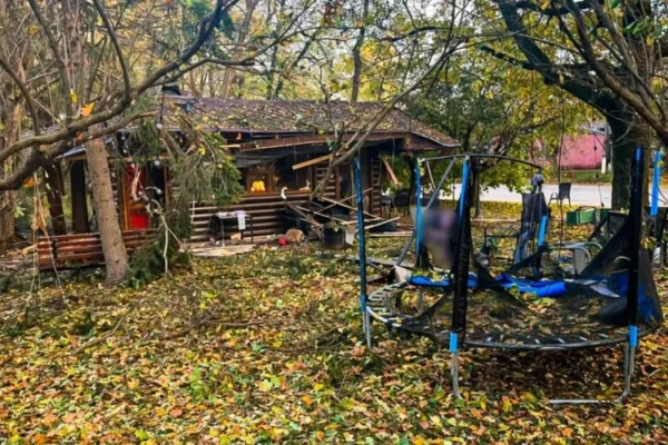 Удар по парку на Харківщині: В лікарні померла ще одна дитина