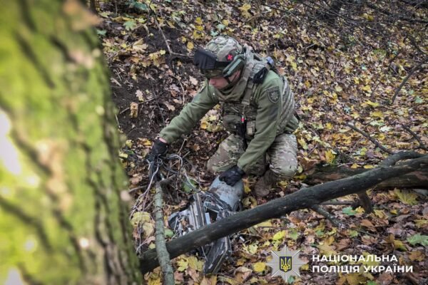 У лісі на Сумщині виявили нерозірваний дрон